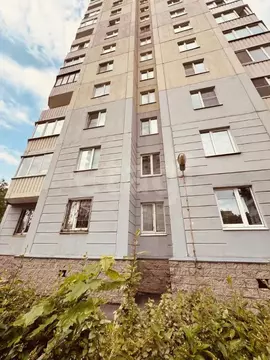 Офис в Санкт-Петербург просп. Солидарности, 21к2 (9 м)