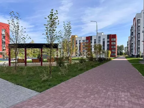 1-к кв. Пензенская область, Пенза ул. Высокая, 14 (36.8 м)