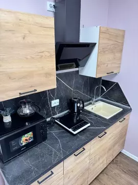 Студия Санкт-Петербург ул. Пейзажная, 30 (20.5 м)