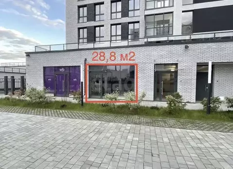 Помещение свободного назначения в Санкт-Петербург просп. Энгельса, 29 ...