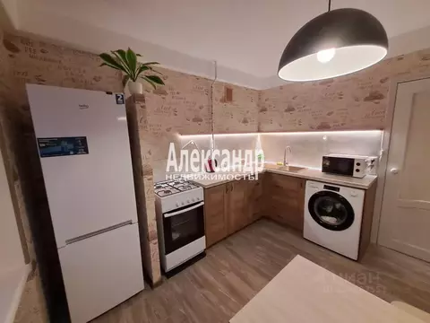 2-к кв. Санкт-Петербург Гражданский просп., 114К5 (47.6 м)