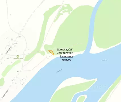 Участок в Алтайский край, Алтайский район, Айский сельсовет, с. Ая  ...