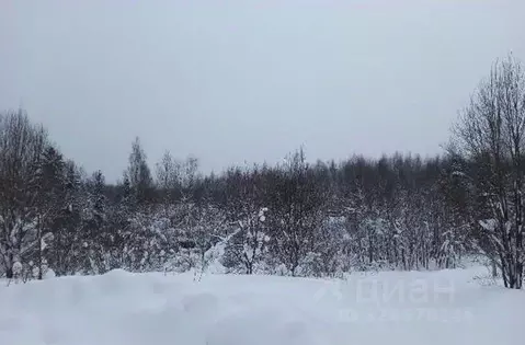 Участок в Московская область, Дмитровский муниципальный округ, д. ...