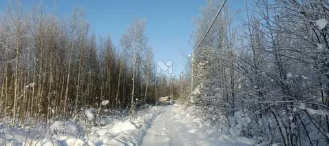 Участок в Ленинградская область, Всеволожский район, Рахьинское ...
