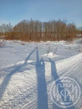 Участок в Ленинградская область, Лужский район, Дзержинское с/пос, ...