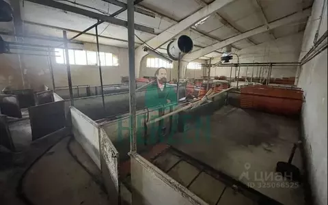 Производственное помещение в Москва д. Кузнецово,  (48000 м)