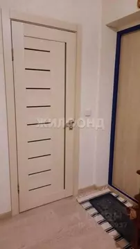 2-к кв. Новосибирская область, Новосибирск ул. Костычева, 36 (56.7 м)