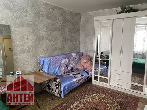 1-к кв. Нижегородская область, Павлово 9-я Северная ул., 19К2 (32.7 м)