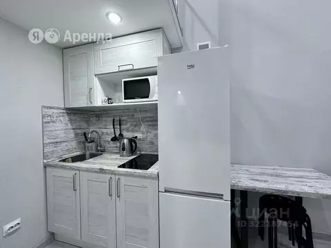 Студия Санкт-Петербург Кузнечный пер., 13 (19.0 м)