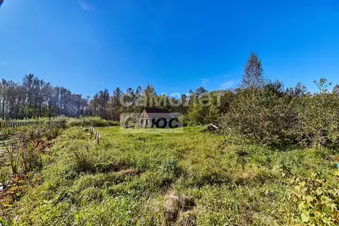 Участок в Томская область, Томский район, Лесная дача СНТ 267 (6.0 ...