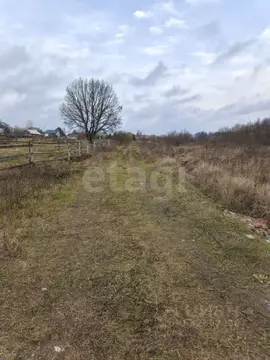 Участок в Брянская область, Брянский район, с. Журиничи  (20.0 сот.)