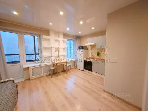 Студия Санкт-Петербург пос. Парголово, ул. Николая Рубцова, 11к1 (26.2 ...