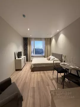 Студия Санкт-Петербург просп. Энергетиков, 8к2 (26.0 м)