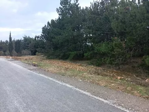 Участок в Севастополь Балаклавский муниципальный округ, СТ Жилищник Д ...