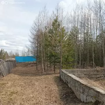 Участок в Усть-Илимск, СНТ Парковая (12 м)