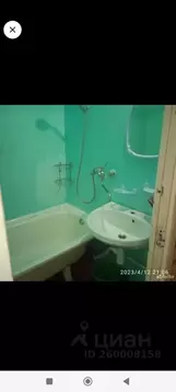 2-к кв. Ленинградская область, Сосновый Бор Парковая ул., 18 (54.0 м)