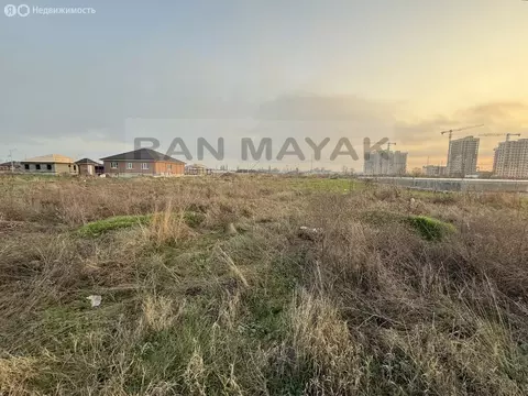 Участок в Майкоп, улица Каплана Туко, 21 (8.23 м)