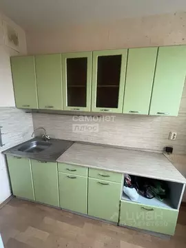 2-к кв. Челябинская область, Челябинск Звенигородская ул., 52 (56.7 м)