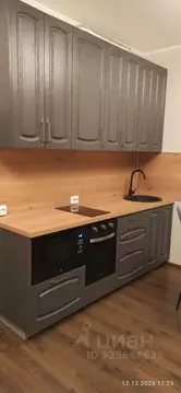 Студия Санкт-Петербург аллея Арцеуловская, 21 (24.8 м)