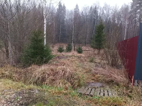 Участок в Московская область, Пушкинский городской округ, д. Грибаново ...