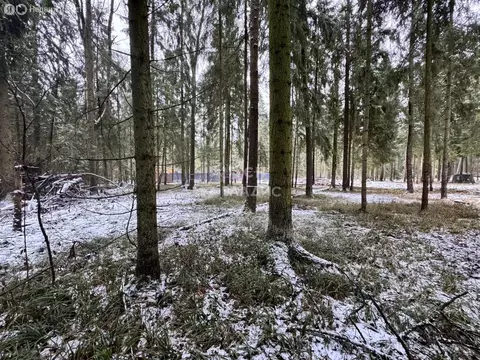 Участок в Московская область, городской округ Пушкинский, деревня ...