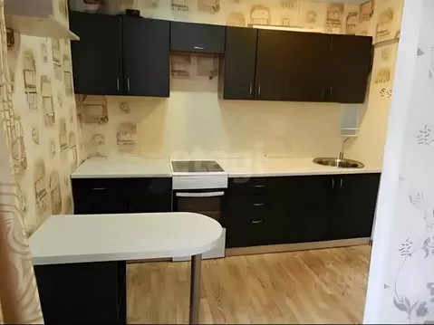 Студия Вологодская область, Вологда ул. Горького, 148 (24.0 м)