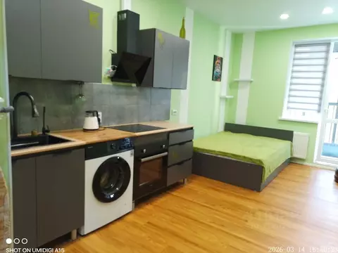 Студия Санкт-Петербург просп. Авиаконструкторов, 63 (27.0 м)