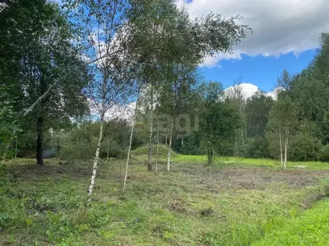 Участок в Московская область, Клин городской округ, Борщево СНТ ул. ...