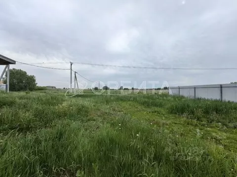 Участок в Тюменская область, Тюменский район, Серебряный бор ТСН ул. ...