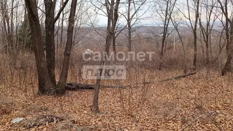 Участок в Приморский край, Артем  (10.0 сот.)