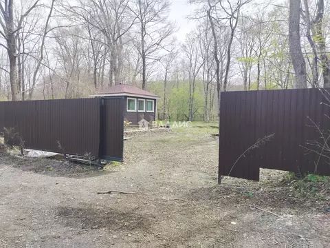 Участок в Приморский край, Уссурийский городской округ, с. Каймановка ...