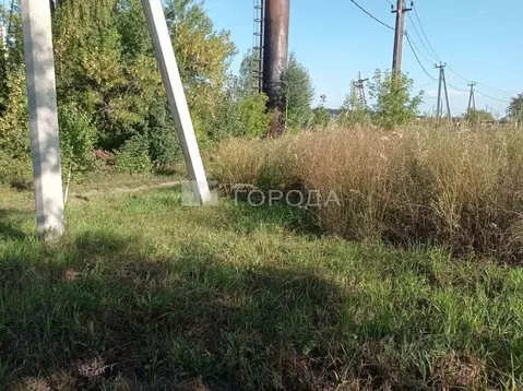 Участок в Алтайский край, Первомайский район, с. Санниково, Овощевод ...