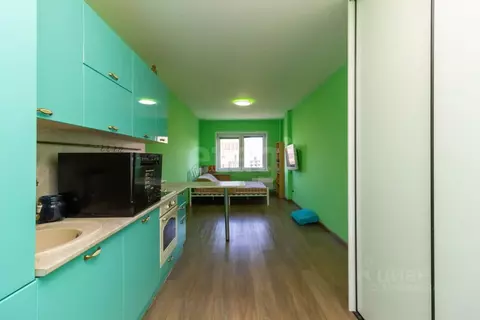 Студия Красноярский край, Красноярск Норильская ул., 8Г (27.2 м)