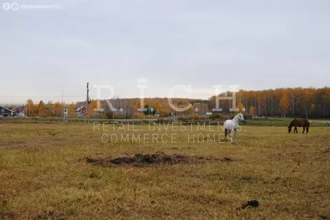 Участок в Челябинская область, Сосновский муниципальный округ, деревня ...