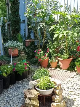 Дом в Краснодарский край, Новороссийск городской округ, с. Широкая ...