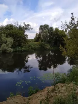 Дом в Тамбовская область, Тамбов Заречье СНТ, 55 (20 м)