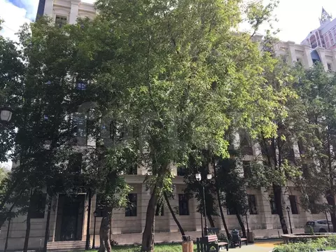 Офис в Москва Большая Грузинская ул., 30АС1 (120 м)
