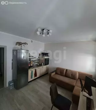 Квартира-студия: Санкт-Петербург, Парашютная улица, 34 (26.7 м)