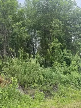 Участок в Тверская область, Конаковский муниципальный округ, Ремонтник ...