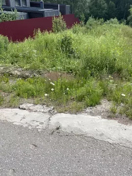 Участок в Ленинградская область, Всеволожский район, Токсовское ...