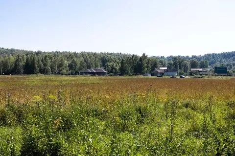 Участок в Ярославская область, Ярославский муниципальный округ, д. ...
