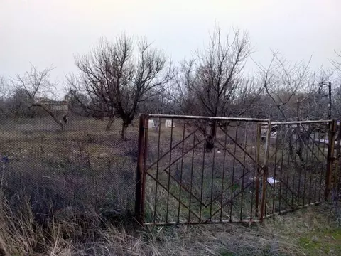 Участок в Волгоградская область, Волгоград бул. Сиреневый (9.9 сот.)