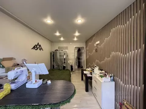 1-к кв. Ставропольский край, Ессентуки ул. Фридриха Энгельса (18.6 м)