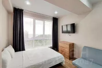 1-к кв. Краснодарский край, Сочи Новый Сочи мкр, ул. Санаторная, ...