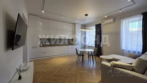 1-к кв. Новосибирская область, Новосибирск Советская ул., 55 (68.0 м)