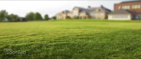 Участок в Азовский район, Новоалександровское сельское поселение, село ...