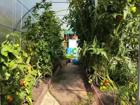 Дом в Тюменская область, Тюмень Текстильщик СНТ, ул. Вишневая (30 м)