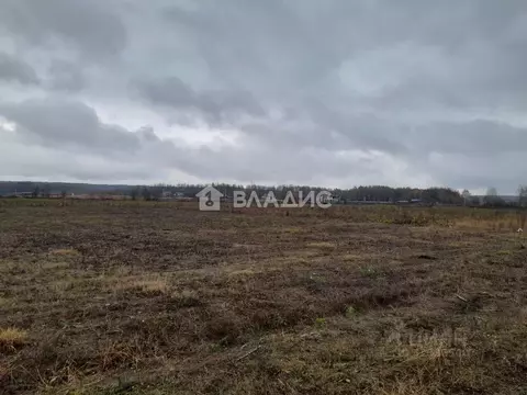 Участок в Владимирская область, Собинский муниципальный округ, д. ...