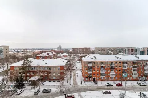 Студия Омская область, Омск ул. Маршала Жукова, 156 (33.1 м)