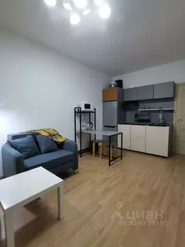 Студия Ленинградская область, Мурино Всеволожский район, бул. ...